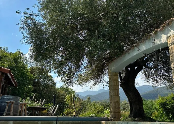 Glamping Bonheur Luxury tent *